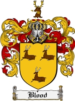 Product picture Blood Family Crest Blood Coat of Arms Digital Download