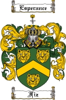 Product picture Fiz Family Crest Fiz Coat of Arms Digital Download