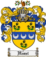 Product picture Hasel Family Crest Hasel Coat of Arms Digital Download