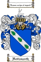 Product picture Hollinworth Family Crest Hollinworth Coat of Arms Digital Download
