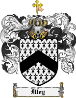 Product picture Illey Family Crest Illey Coat of Arms Digital Download