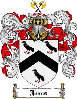 Product picture Joans Family Crest Joans Coat of Arms Digital Download