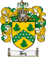 Product picture Joy Family Crest Joy Coat of Arms Digital Download