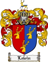 Product picture Lewin Family Crest Lewin Coat of Arms Digital Download