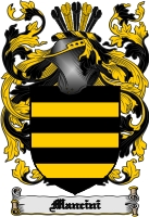 Product picture Mancini Family Crest  Mancini Coat of Arms Digital Download