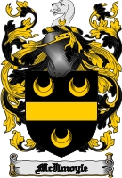 Product picture Mcilmoyle Family Crest  Mcilmoyle Coat of Arms Digital Download