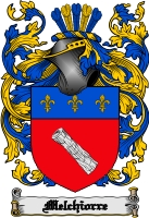 Product picture Melchiorre Family Crest  Melchiorre Coat of Arms Digital Download