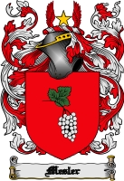 Product picture Mesler Family Crest  Mesler Coat of Arms Digital Download