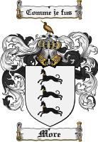 Product picture More Family Crest More Coat of Arms Digital Download