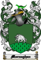 Product picture Murnaghan Family Crest  Murnaghan Coat of Arms Digital Download
