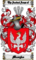Product picture Muzyka Family Crest  Muzyka Coat of Arms Digital Download