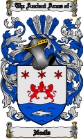 Product picture Nealis Family Crest  Nealis Coat of Arms Digital Download