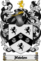 Product picture Newlon Family Crest  Newlon Coat of Arms Digital Download