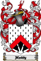 Product picture Noddy Family Crest  Noddy Coat of Arms Digital Download