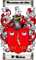Product picture O-Guinn Family Crest  O-Guinn Coat of Arms Digital Download