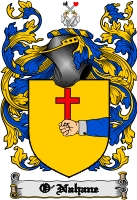 Product picture O-Nahane Family Crest  O-Nahane Coat of Arms Digital Download