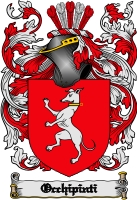 Product picture Occhipinti Family Crest  Occhipinti Coat of Arms Digital Download