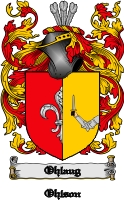 Product picture Ohlaug Family Crest  Ohlaug Coat of Arms Digital Download