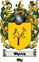 Product picture Ohlrich Family Crest  Ohlrich Coat of Arms Digital Download