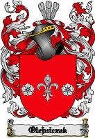Product picture Olejniczak Family Crest  Olejniczak Coat of Arms Digital Download