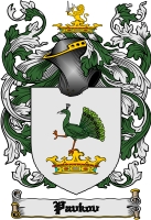 Product picture Pavkov Family Crest  Pavkov Coat of Arms Digital Download