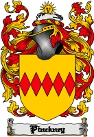 Product picture Pinckney Family Crest  Pinckney Coat of Arms Digital Download