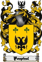 Product picture Poupinel Family Crest  Poupinel Coat of Arms Digital Download