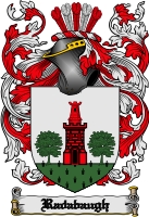 Product picture Radabaugh Family Crest  Radabaugh Coat of Arms Digital Download