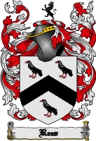 Product picture Rees Family Crest  Rees Coat of Arms Digital Download