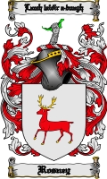 Product picture Rosney Family Crest  Rosney Coat of Arms Digital Download