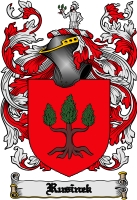 Product picture Rusinek Family Crest  Rusinek Coat of Arms Digital Download