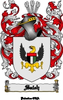 Product picture Saleh Family Crest  Saleh Coat of Arms Digital Download