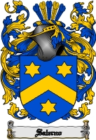 Product picture Salerno Family Crest  Salerno Coat of Arms Digital Download