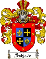 Product picture Salgado Family Crest  Salgado Coat of Arms Digital Download