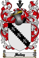 Product picture Salley Family Crest  Salley Coat of Arms Digital Download