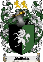 Product picture Salliotte Family Crest  Salliotte Coat of Arms Digital Download