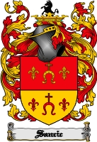 Product picture Sancic Family Crest  Sancic Coat of Arms Digital Download