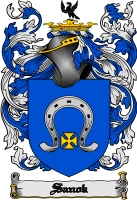 Product picture Sanok Family Crest  Sanok Coat of Arms Digital Download