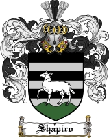 Product picture Shapiro Family Crest  Shapiro Coat of Arms Digital Download