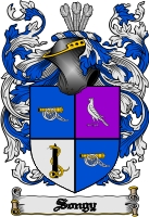 Product picture Songy Family Crest  Songy Coat of Arms Digital Download