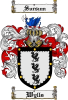 Product picture Wylls Family Crest  Wylls Coat of Arms