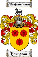 Product picture Youngson Family Crest  Youngson Coat of Arms