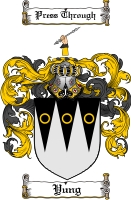 Product picture Yung Family Crest  Yung Coat of Arms